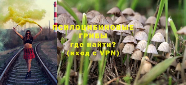 героин Богданович