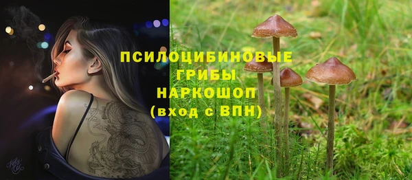 героин Богданович